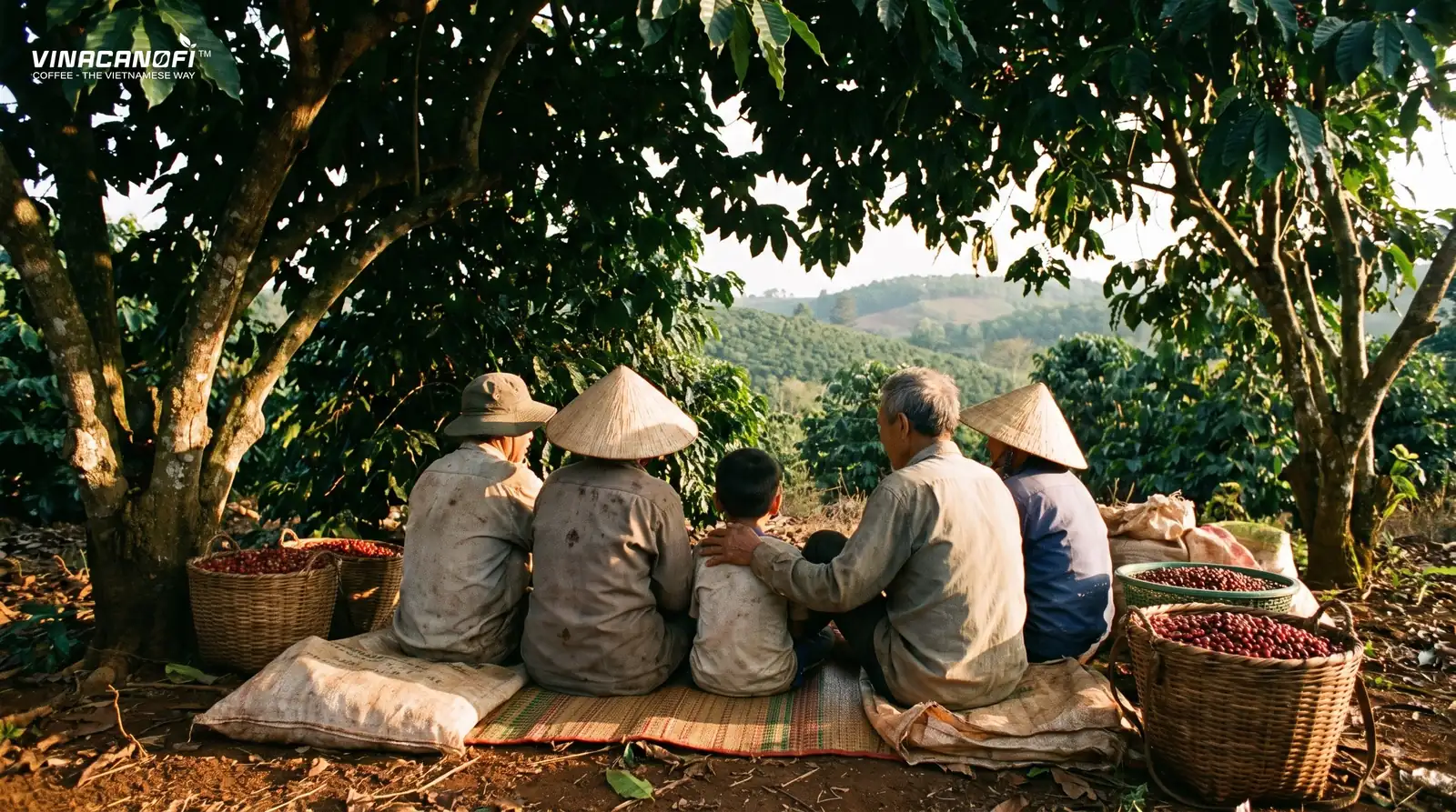 Gia đình nông dân ngồi nghỉ dưới gốc cây giữa vườn cà phê, bên cạnh những giỏ quả chín