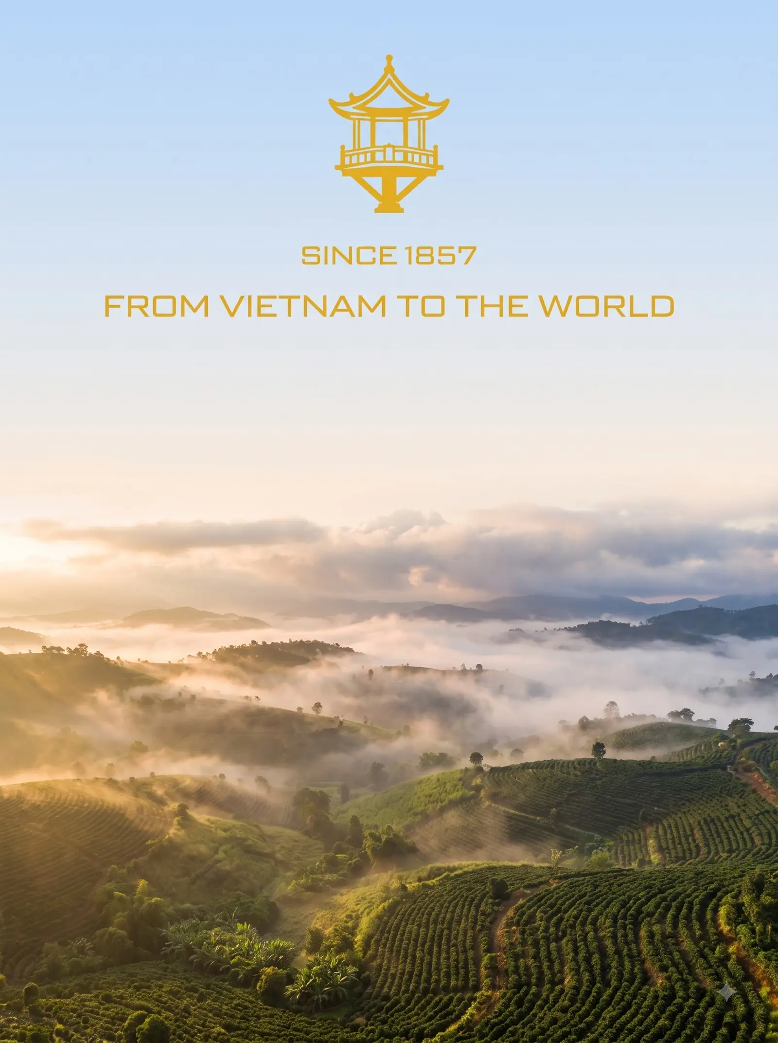 Biểu tượng chữ SINCE 1857 và FROM VIETNAM TO THE WORLD phía trên đồi cà phê trong sương sớm
